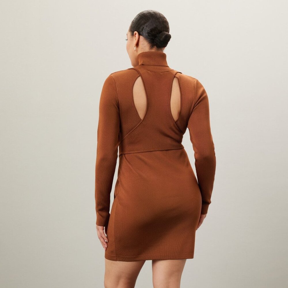 Sofia Racer Mini Dress - Picture 3 of 4
